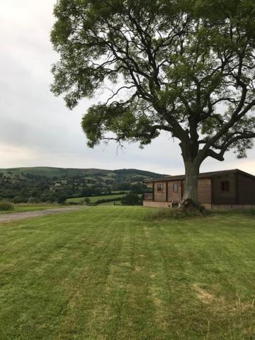 לאדלו Redwood Lodge מראה חיצוני תמונה