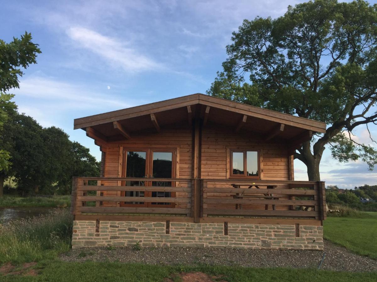 לאדלו Redwood Lodge מראה חיצוני תמונה