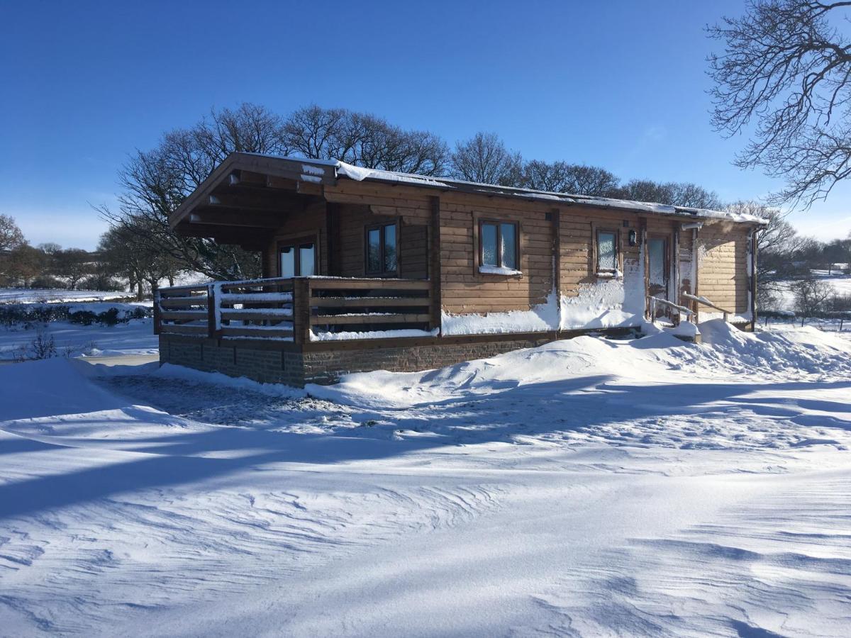 לאדלו Redwood Lodge מראה חיצוני תמונה