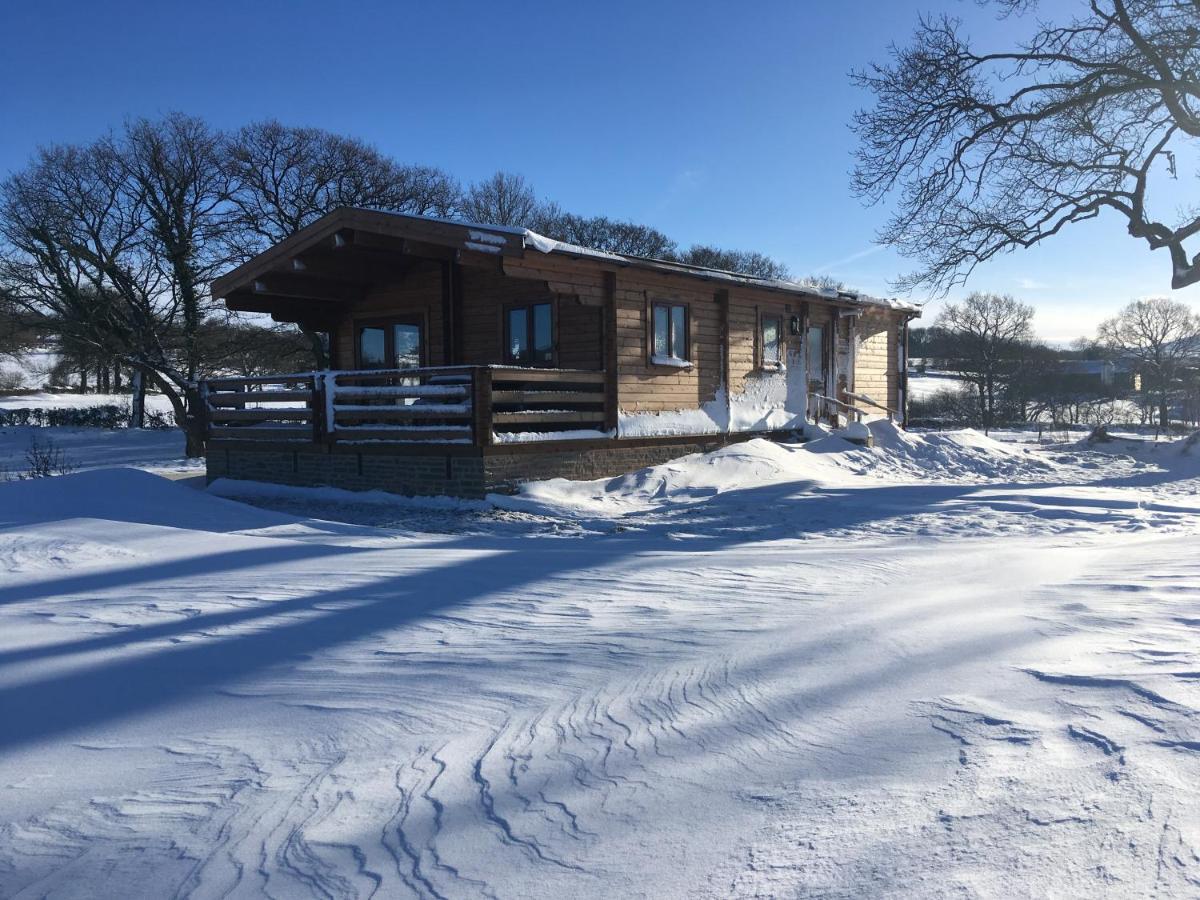 לאדלו Redwood Lodge מראה חיצוני תמונה