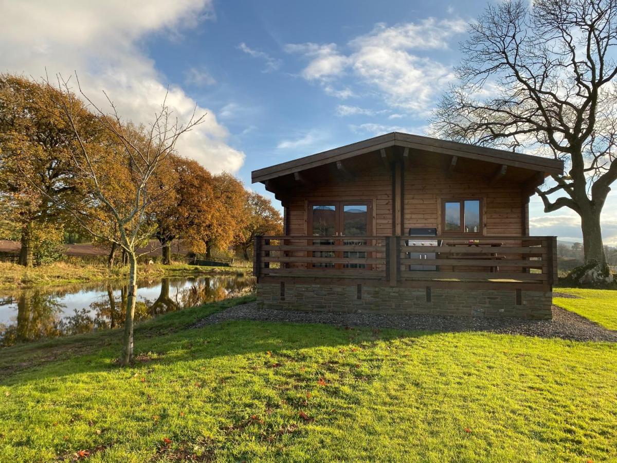 לאדלו Redwood Lodge מראה חיצוני תמונה